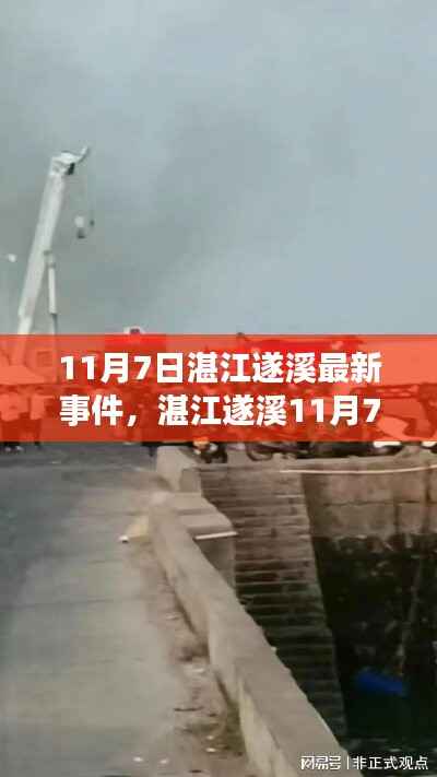 湛江遂溪11月7日事件全解析，初识到深入了解的步骤指南