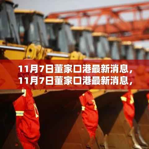 11月7日董家口港最新消息,全面理解与操作指南