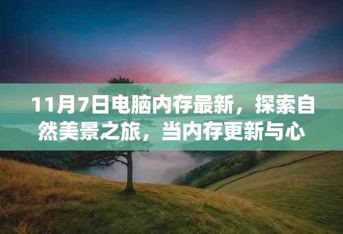 内存更新与心灵净化,探索自然美景之旅的相遇