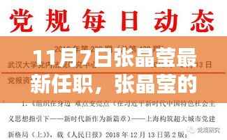 张晶莹新篇章,11月7日的惊喜发现与小巷深处的独特风味