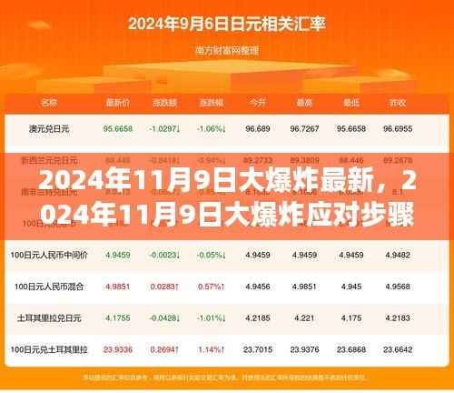 2024年11月9日大爆炸应对指南,全方位准备与应对步骤