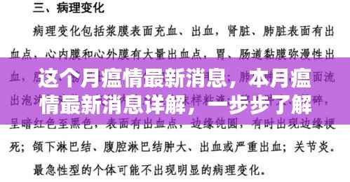 本月疫情最新动态,详解应对策略与防护措施