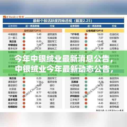 中银绒业最新动态公告,今年脉络、影响与地位的深度回顾