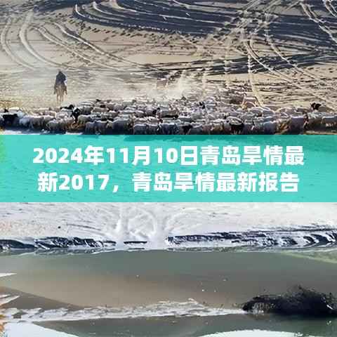 青岛旱情现状报告（回顾至2024年11月10日）