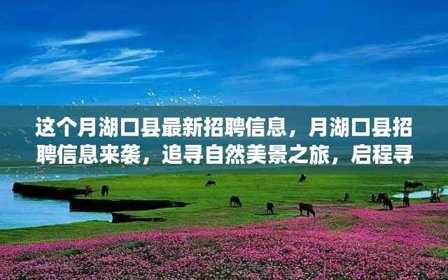 月湖口县最新招聘信息发布，追寻自然美景之旅，宁静港湾的职场启程