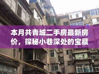 本月共青城二手房最新房价揭秘，小巷深处的宝藏与独特小店的故事