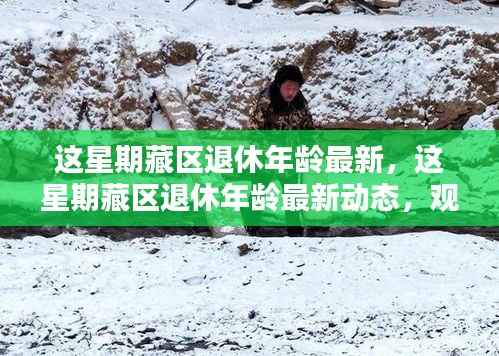 藏区退休年龄最新动态，观点阐述与解析