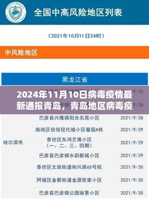 青岛地区病毒疫情最新通报评测报告（截至2024年11月10日）