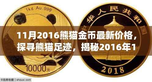 揭秘熊猫足迹，探寻最新熊猫金币价格，启程自然之旅寻找内心宁静平和之旅