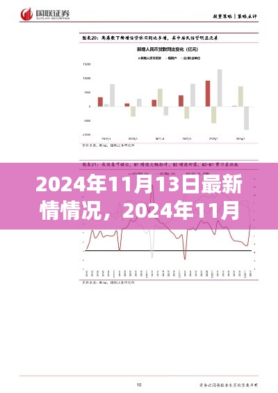 全球最新情况概览，2024年11月13日最新情报
