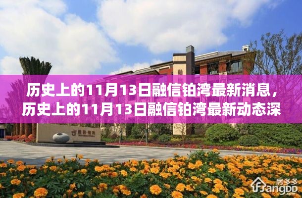 历史上的11月13日融信铂湾深度解析，最新消息与动态汇总