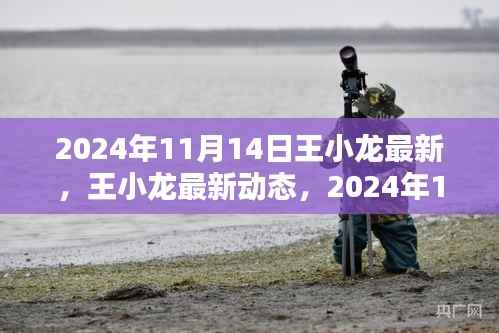 王小龙最新动态，开启2024年全新篇章的启示（日期标注）
