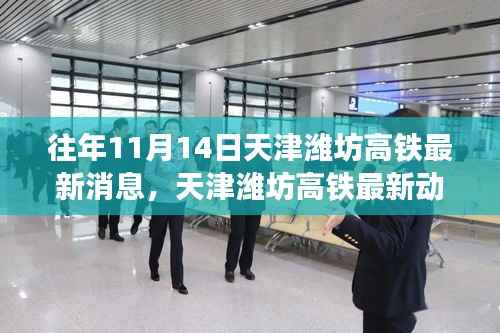 天津潍坊高铁里程碑时刻，最新动态回顾与十一月十四日的进展消息