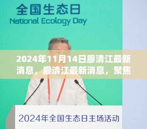 廖清江最新消息解读,聚焦要点展望未来发展路径(2024年11月14日)