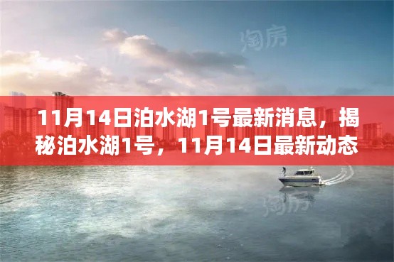 揭秘泊水湖1号,最新动态速递(11月14日更新)