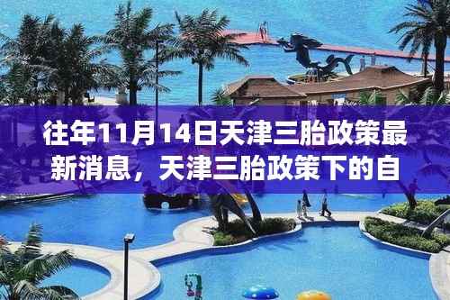 天津三胎政策下的秋日心灵之旅,探寻自然与宁静的秘径