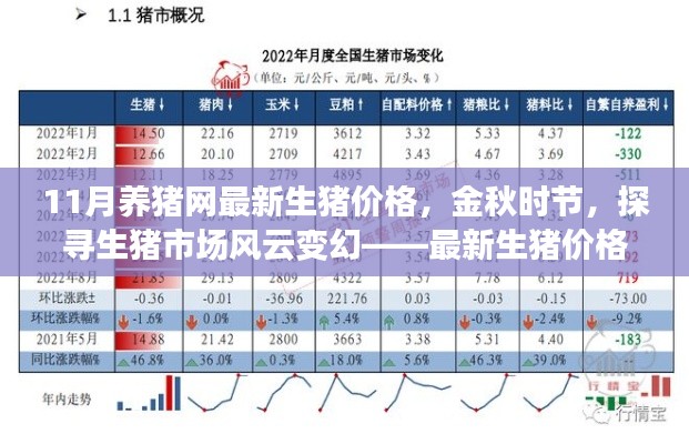 金秋时节生猪市场风云变幻,最新生猪价格走势深度解析与预测