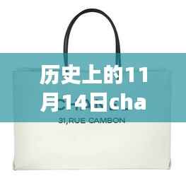 香奈儿之日的时尚之旅,纪念11月14日的Chanel Santini最新图与温馨回忆