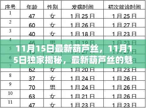 独家揭秘，最新葫芦丝的魅力与独特之处（11月15日更新）