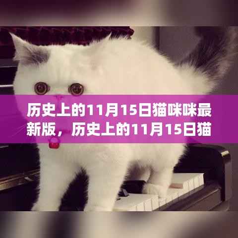 历史上的猫咪咪,学习之源与自信成就感的演变之路(最新版)