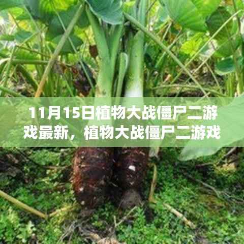 植物大战僵尸二游戏最新更新解析,探讨其价值与影响