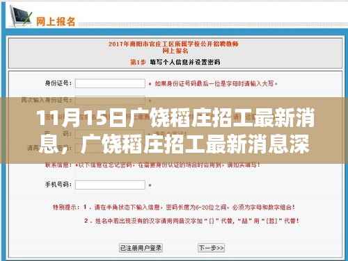 广饶稻庄最新招工消息深度解析与介绍,11月15日招工动态速递