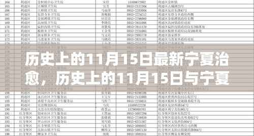 历史上的11月15日,宁夏治愈之路的里程碑事件探讨
