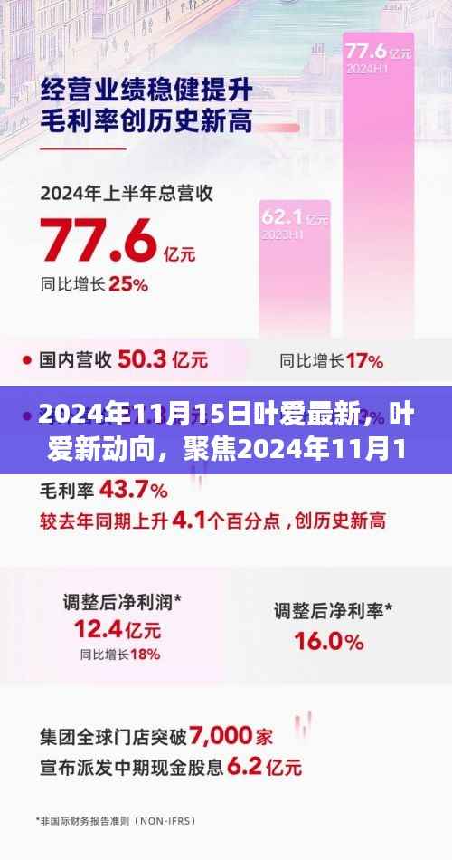 叶爱最新动态揭秘,深度解读与观点碰撞聚焦于2024年11月15日