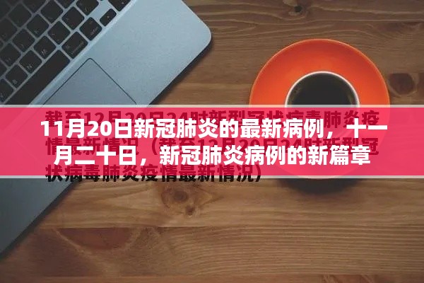 十一月二十日新冠肺炎病例新篇章,最新病例报告