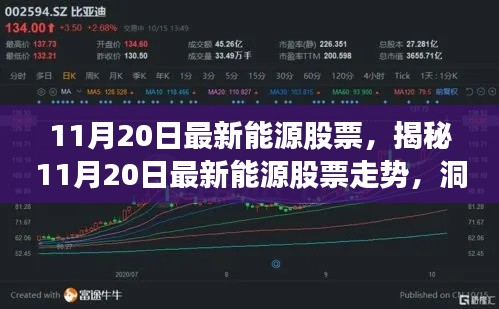 揭秘最新能源股票走势,洞悉未来投资风向(11月20日更新)