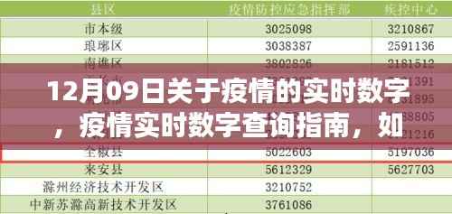 12月09日疫情实时数字指南，轻松掌握最新动态与查询方法