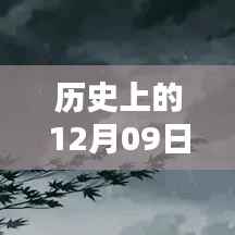 小红书风格，历史上的今天与未来，新疆暴雨预警实时更新，领略独特的12月09日