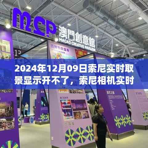 索尼相机实时取景功能故障分析与解决策略(更新至2024年12月09日)