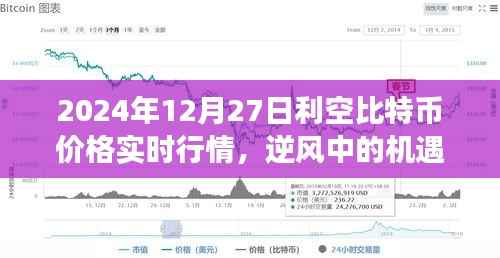 比特币市场逆风波动与自我成长之路,利空行情下的机遇与挑战(实时行情分析)