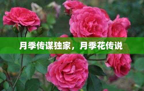 刬旧谋新 第3页