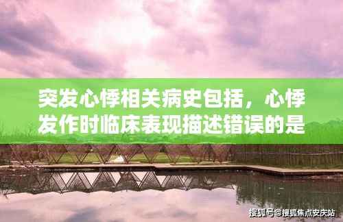 突发心悸相关病史包括,心悸发作时临床表现描述错误的是