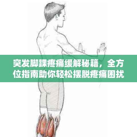 大雅君子 第3页