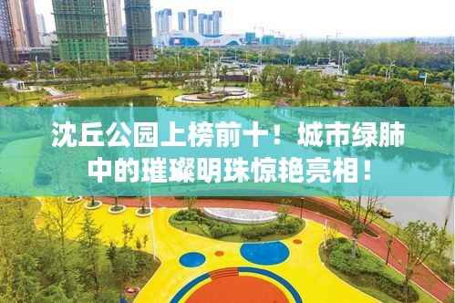 沈丘公园上榜前十!城市绿肺中的璀璨明珠惊艳亮相!