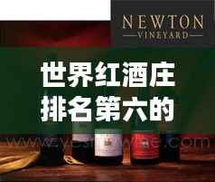 世界红酒庄排名第六的迷人魅力探索