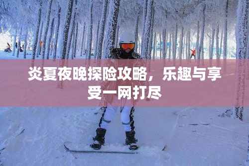 炎夏夜晚探险攻略,乐趣与享受一网打尽