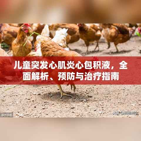 儿童突发心肌炎心包积液,全面解析、预防与治疗指南