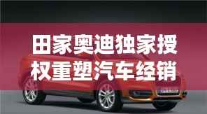 田家奥迪独家授权重塑汽车经销标杆