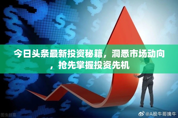 今日头条最新投资秘籍，洞悉市场动向，抢先掌握投资先机