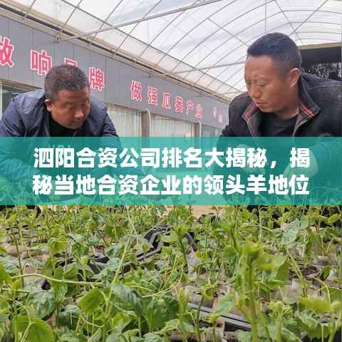 泗阳合资公司排名大揭秘,揭秘当地合资企业的领头羊地位!
