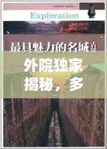 外院独家揭秘,多元世界的独特魅力探索