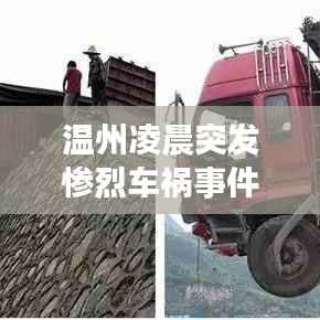 温州凌晨突发惨烈车祸事件,现场情况令人震惊!