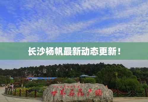 长沙杨帆最新动态更新!