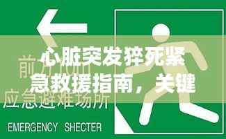 心脏突发猝死紧急救援指南,关键时刻这样做能救命!