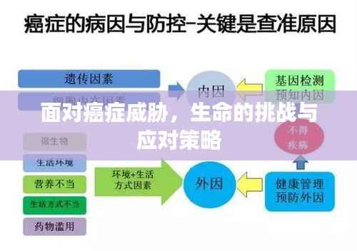 省吃细用 第2页