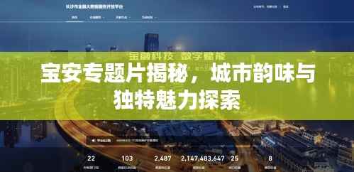 宝安专题片揭秘,城市韵味与独特魅力探索